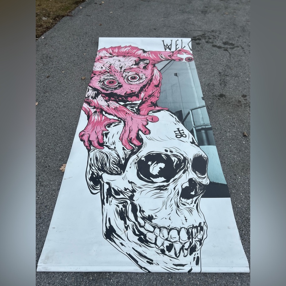 Ryan Townley Large Double Sided SkateBoard Banner photo by Alex Papke